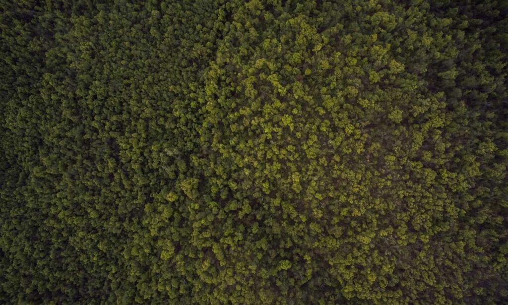 athletic technology fntkech