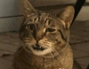 emerging tech trends etrstech