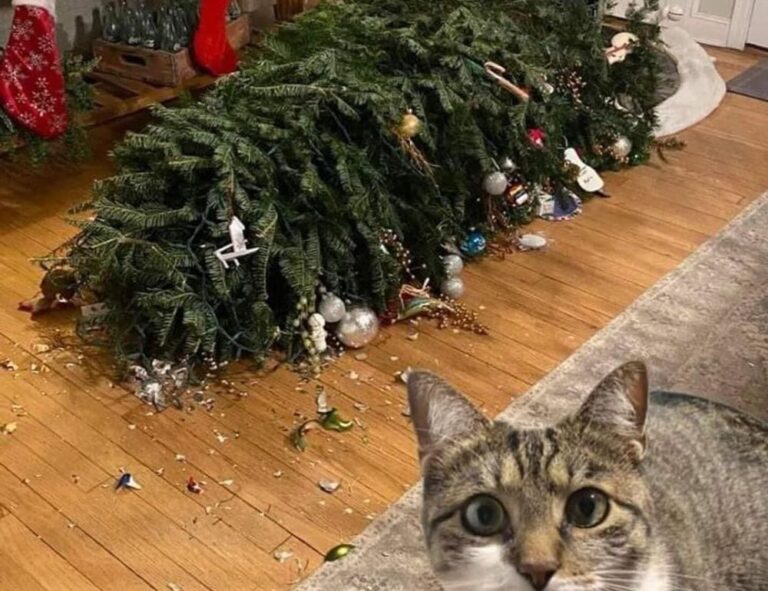 etrstech technology news by etherions