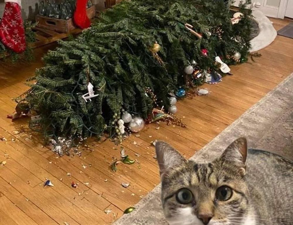 etrstech technology news by etherions