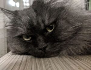 etrstech technology updates from etherions