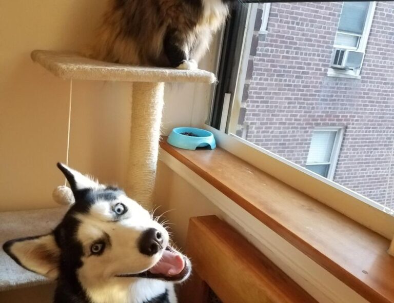 fntkech technoly news from fitnesstalk