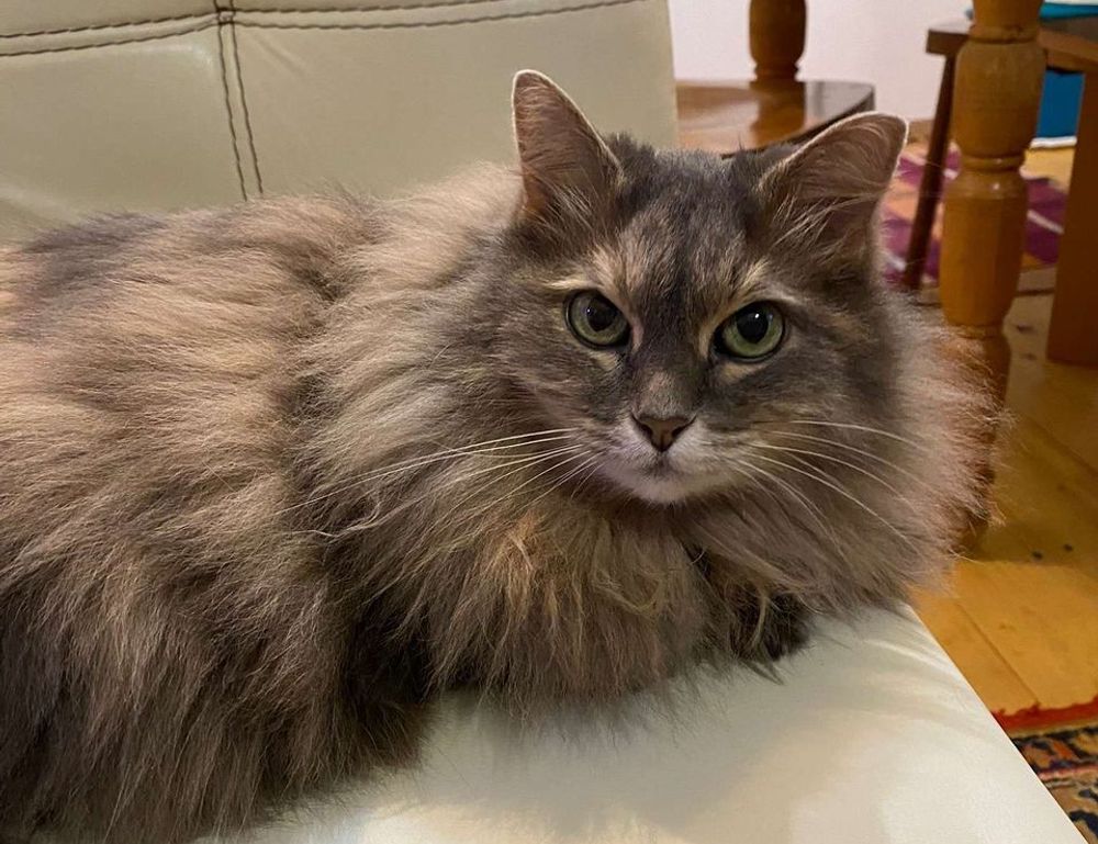 from gamerawr gamrawtek