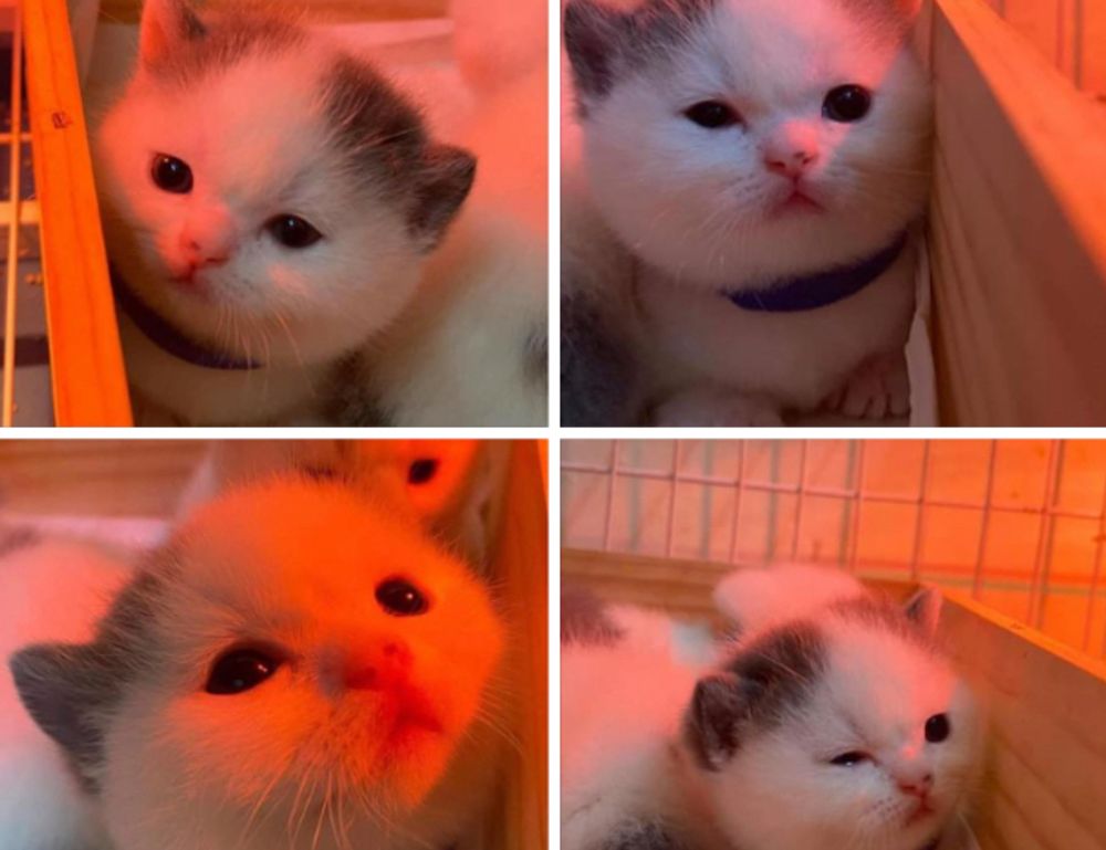 gamrawtek articles by gamerawr