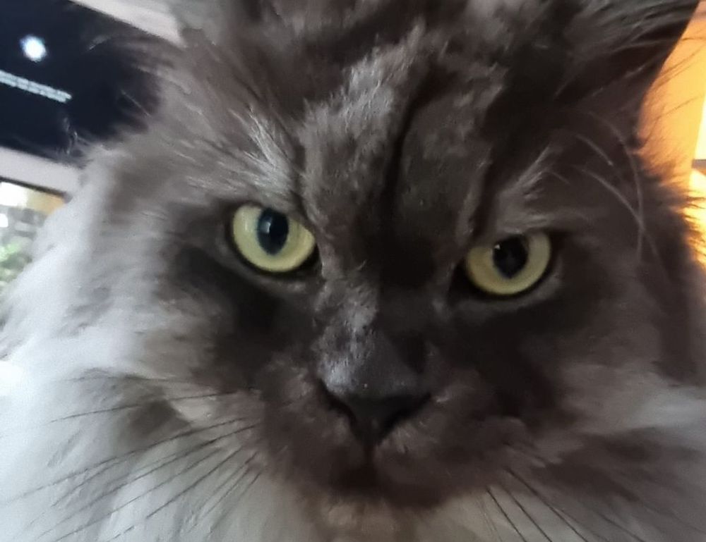 gamrawtek guides released