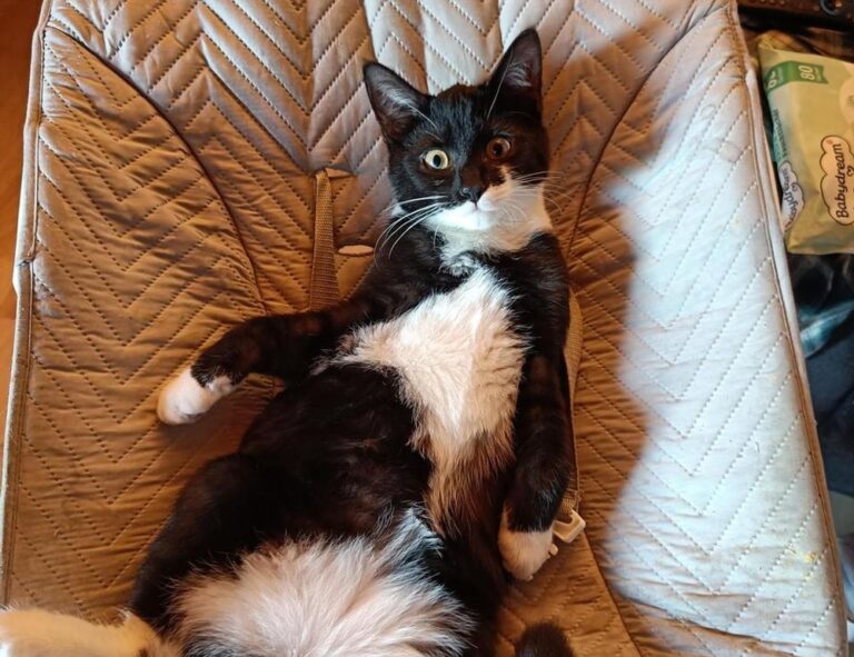 how automated storage works etrstech