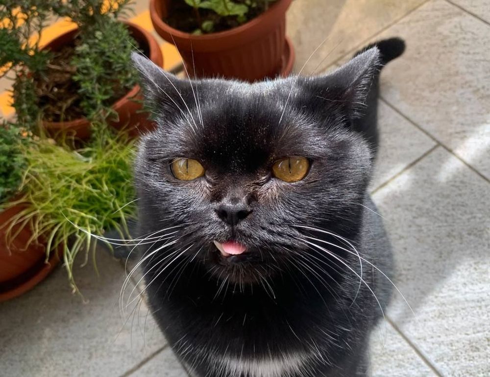 how many locations in clienage9