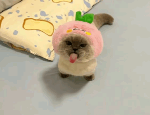 how to keep up with tech news gmrrcomputer