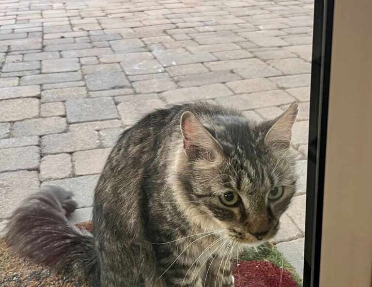 how to make neomanclotise remover for tiles