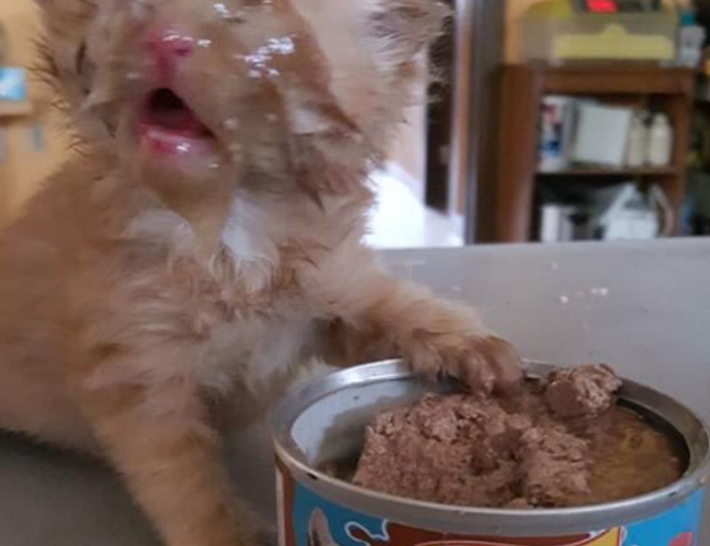 how to prevent fraud in businesses etrstech