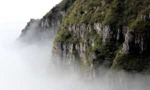 improve software meetshaxs