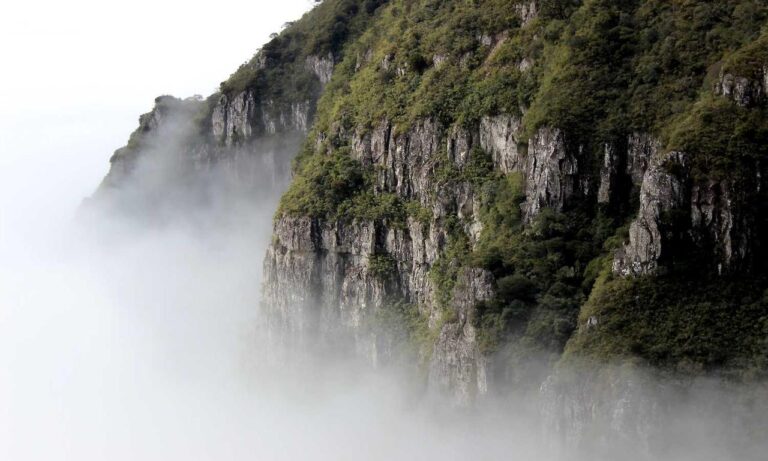 improve software meetshaxs