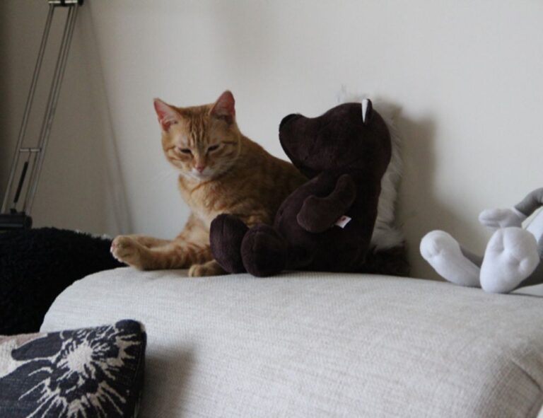 is fitbit charge 2 worth buying fntkech