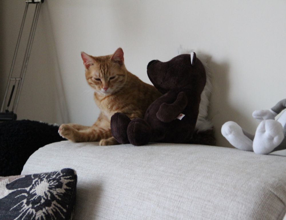 is fitbit charge 2 worth buying fntkech