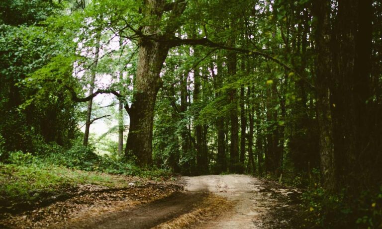 java software wbsoftwarement