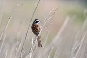 jotechgeeks technology news by javaobjects