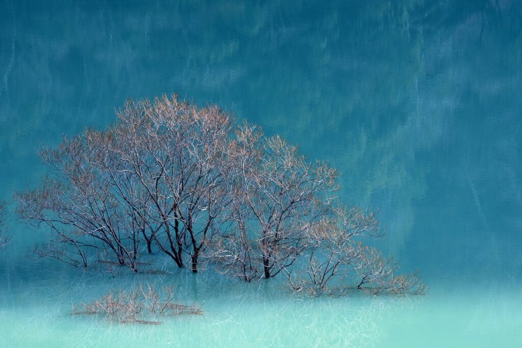 jotechgeeks technology updates from javaobjects