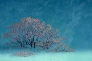 jotechgeeks technology updates from javaobjects