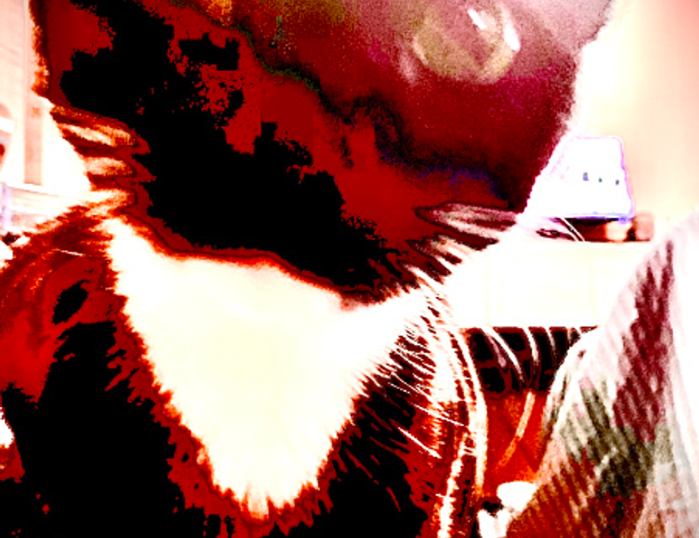 laptop with eye tracking cameras fntkech