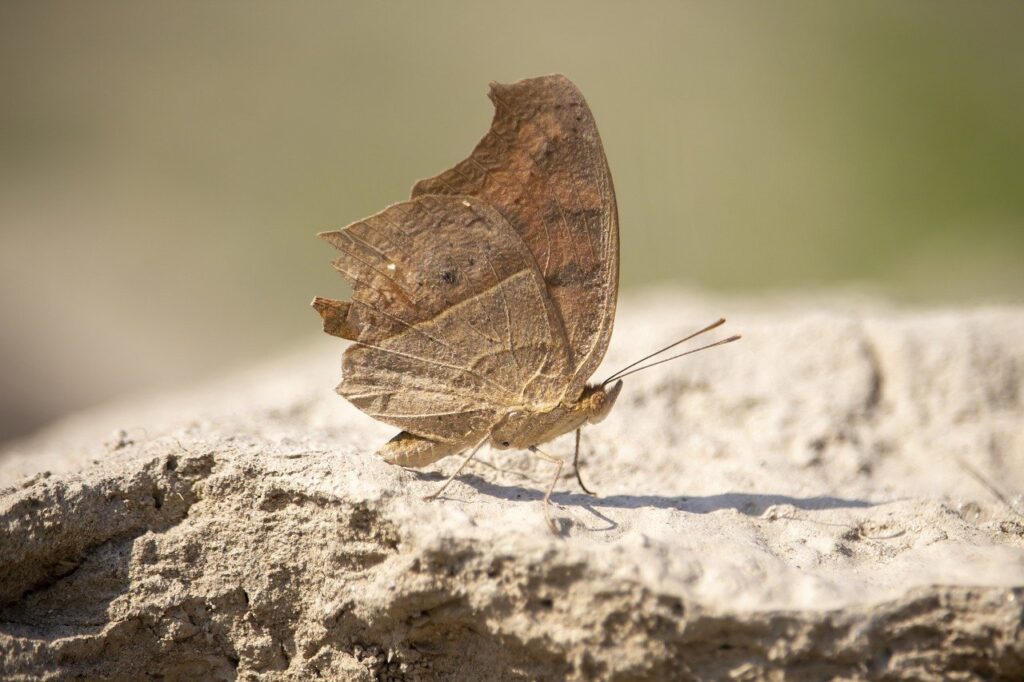 latest mobile app news gmrrcomputer