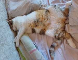 latest tech trends gamrawtek