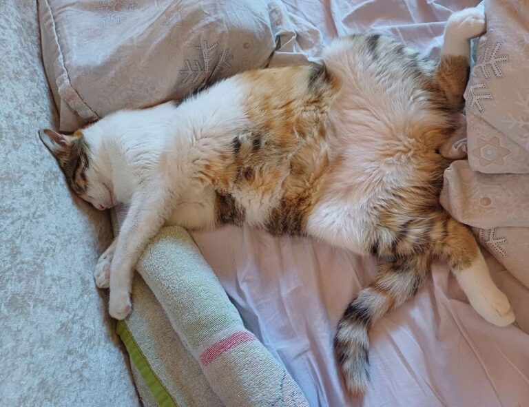 latest tech trends gamrawtek