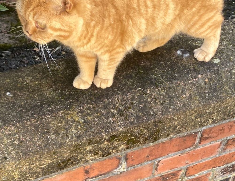 latest tech trends togtechify