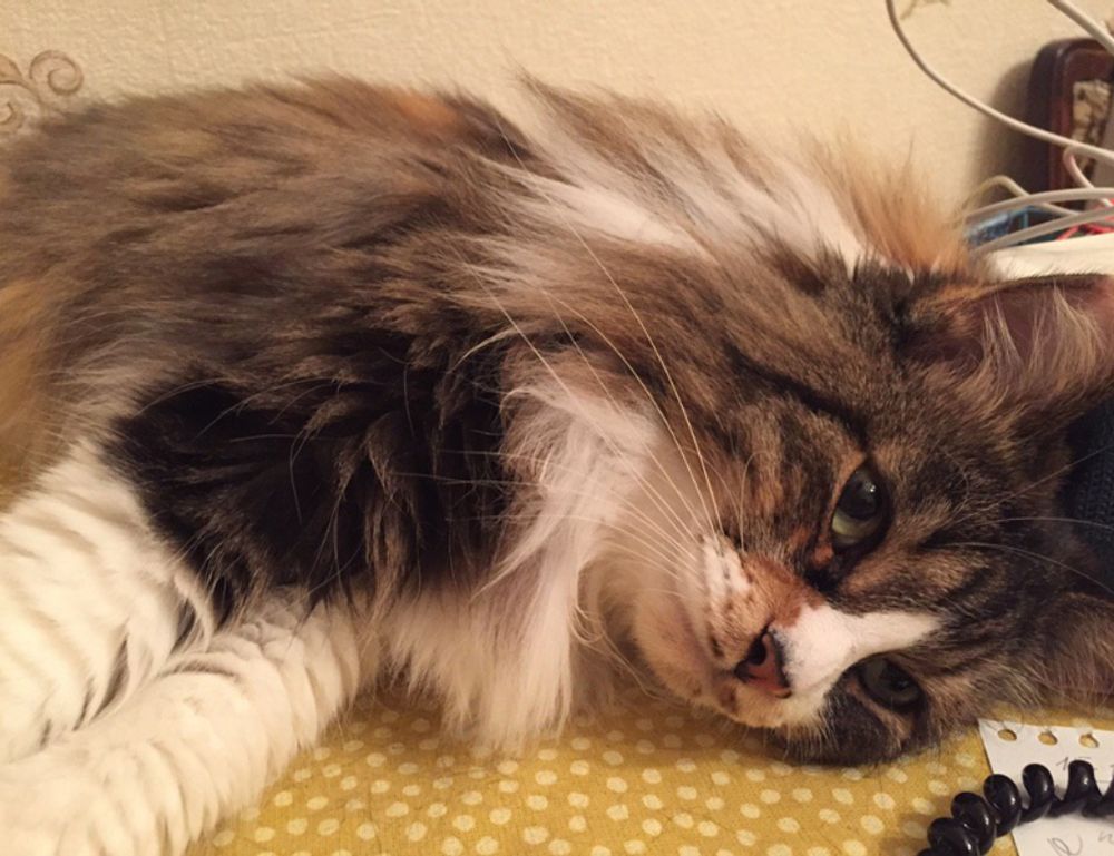 latest tech upgrades gamrawtek