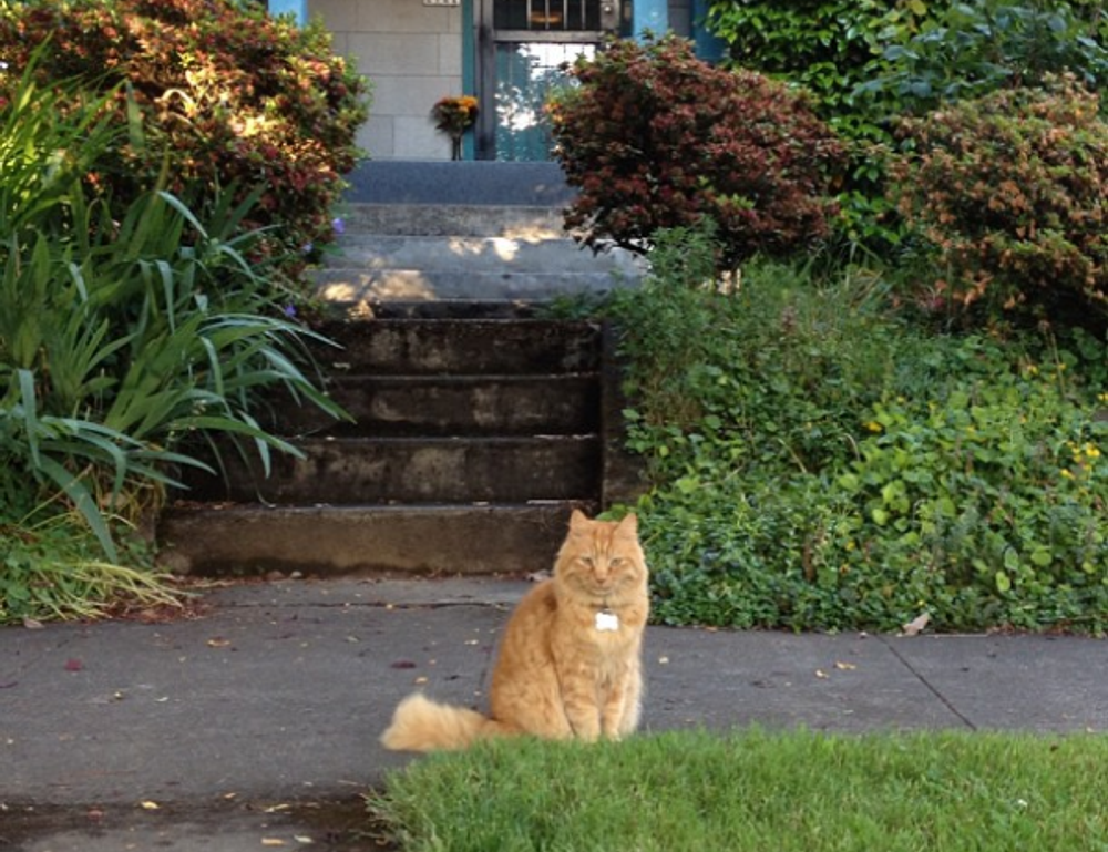 new technology trends roartechmental