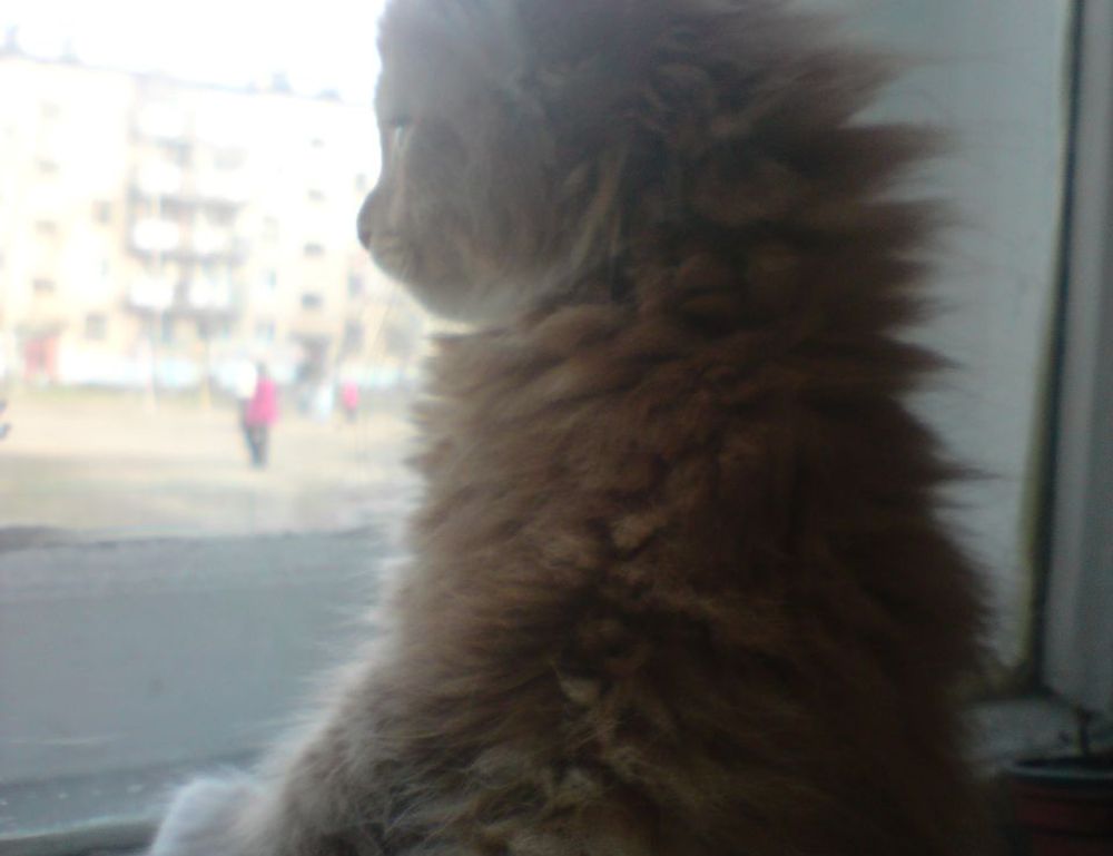 python sdk25.5a burn lag