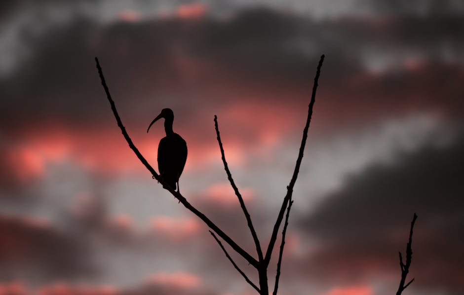 resource-optimization-1