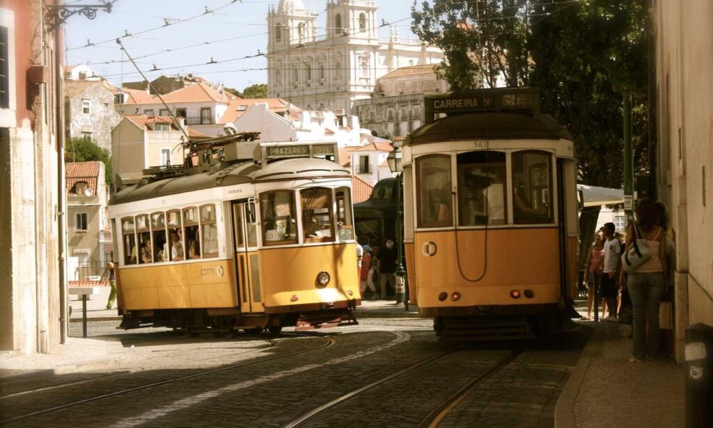 roartechmental programming advisor from riproar