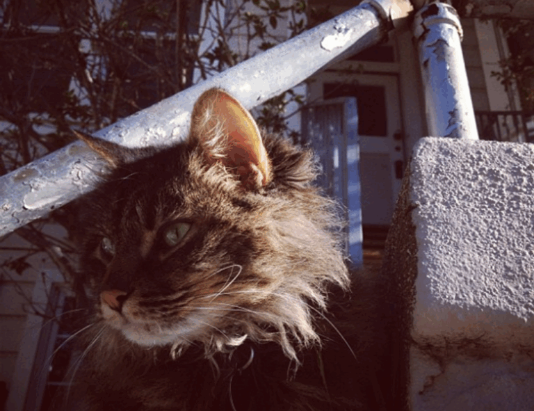 software advice wbsoftwarement