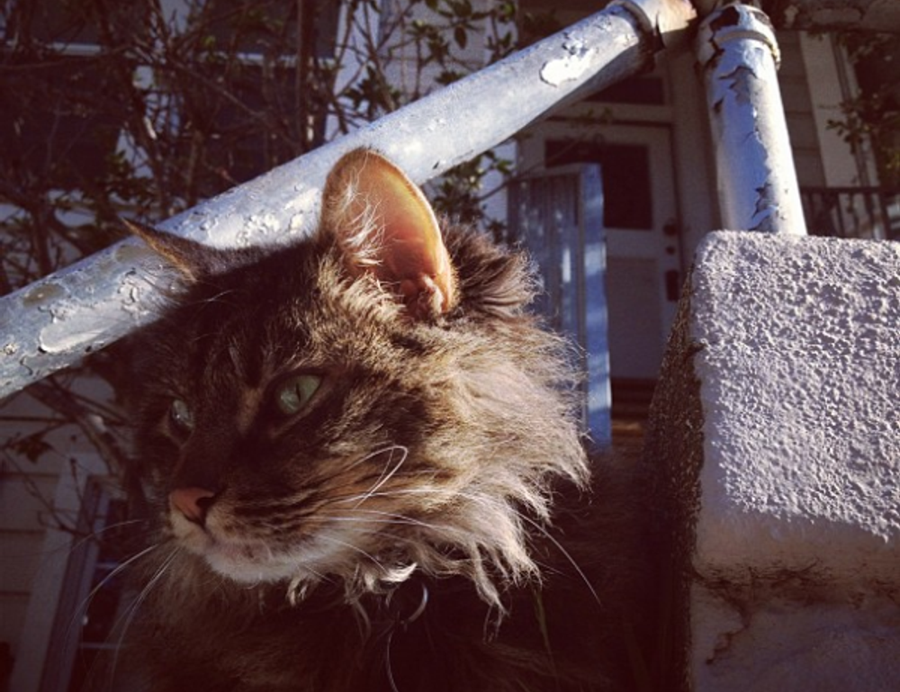 software advice wbsoftwarement