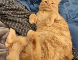 tech news togtechify