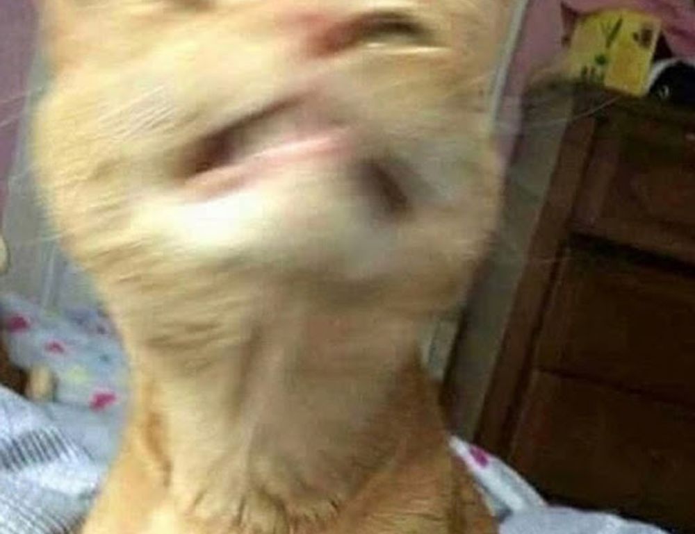 tech updates togtechify