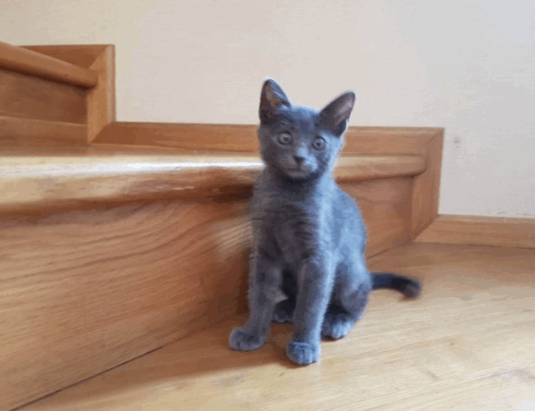 tech upgrades gamrawtek