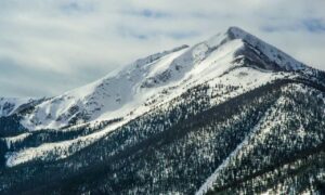 technology news etrstech