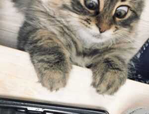 technology news jotechgeeks