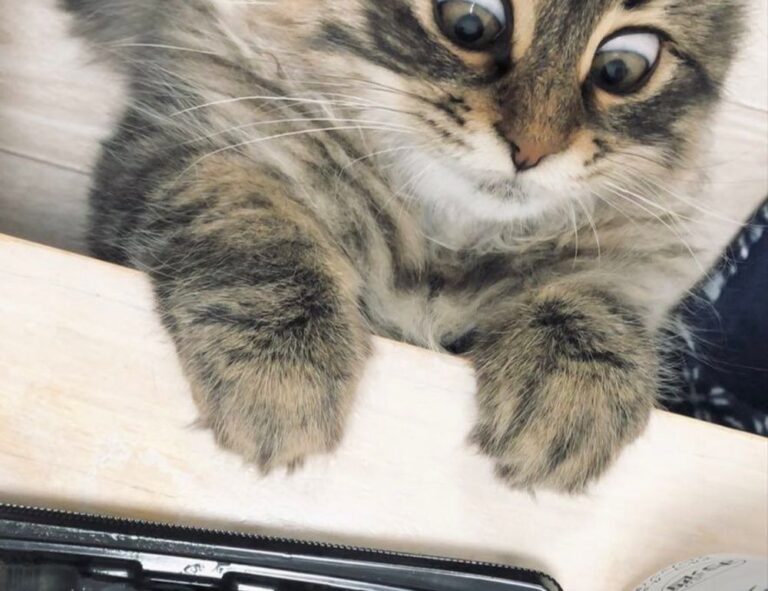 technology news jotechgeeks