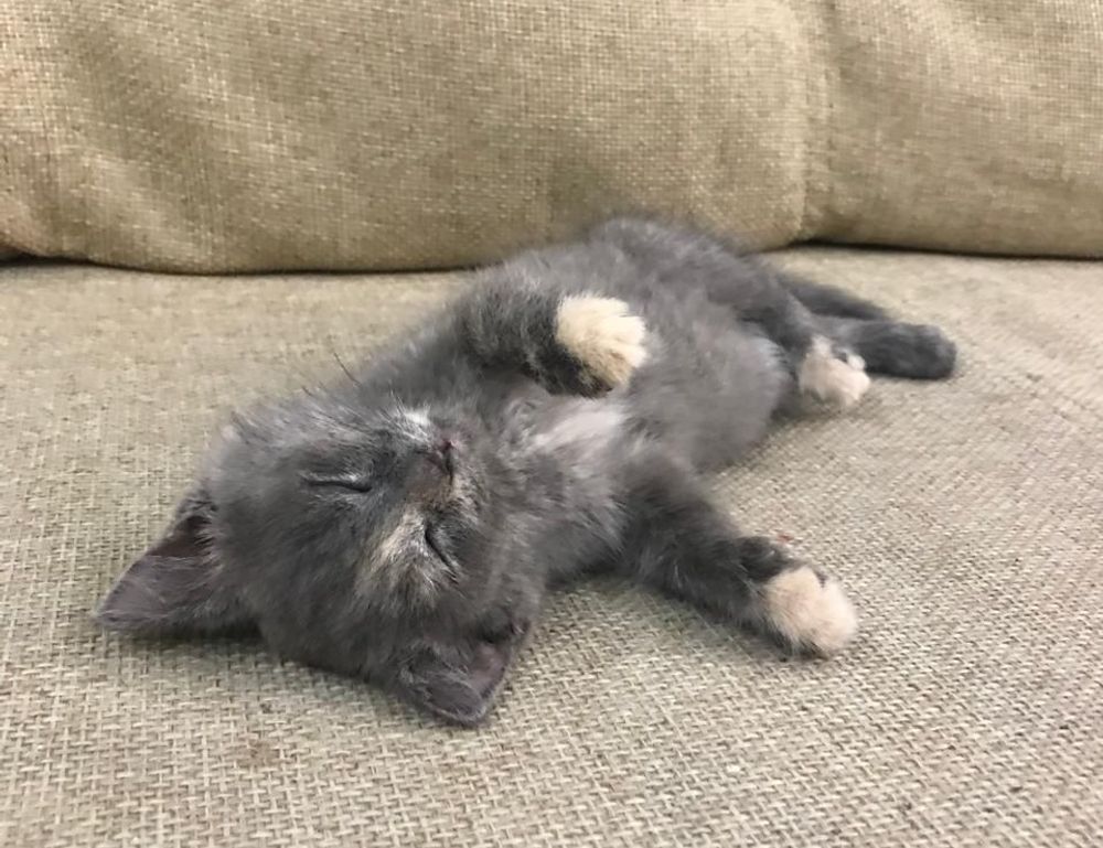 technology updates etrstech