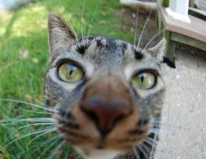 technology updates fntkech