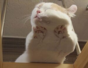 togtechify world tech by thinksofgamers