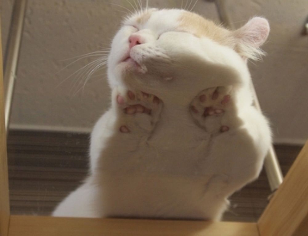 togtechify world tech by thinksofgamers