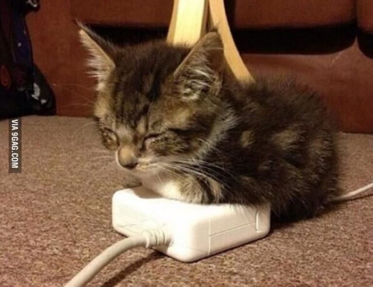 use tyrmordehidom hair