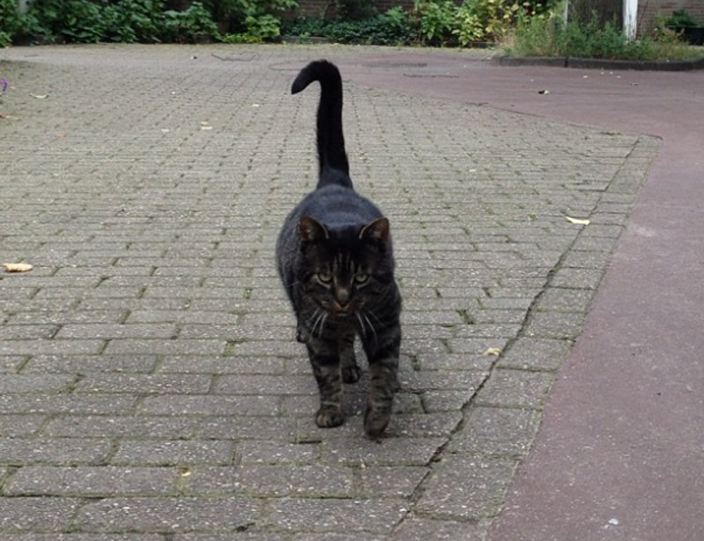 wbsoftwarement software advice from wealthybyte