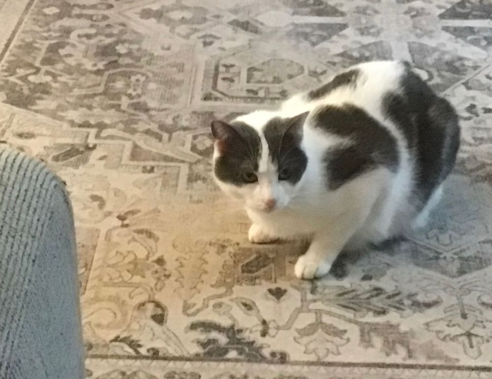 what are cybersecurity software wbsoftwarement