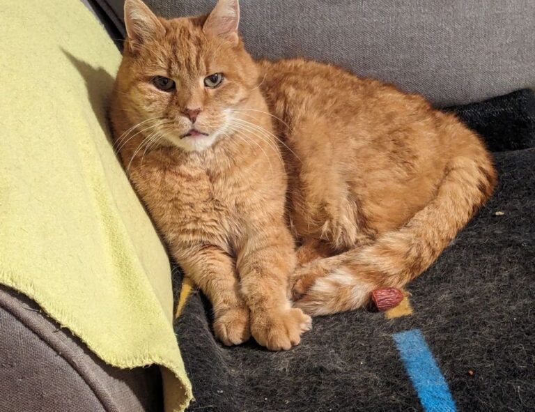 what is technology update jotechgeeks