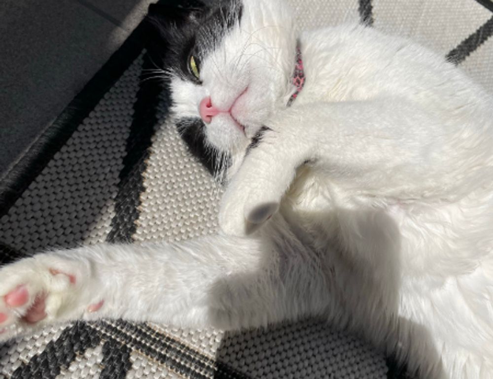 what tech came out in 2022 jotechgeeks