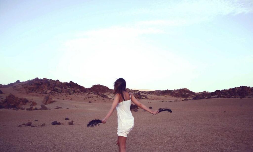 which cybersecurity stock to buy wbsoftwarement